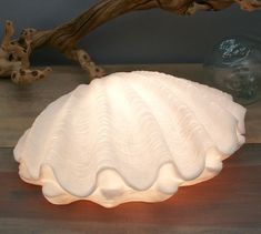 a white shell shaped lamp sitting on top of a wooden table next to a branch