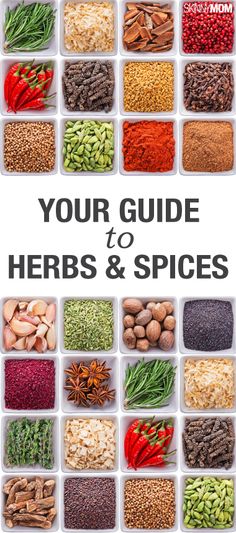 the cover of your guide to herbs and spices, with an image of different types of beans