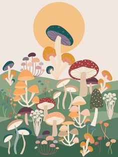 an illustration of many mushrooms in the grass