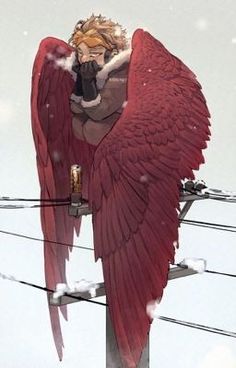 a red bird sitting on top of a power line next to a person holding a cell phone