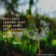 a dandelion with the quote for i have learned that every heart will get what it prays for most