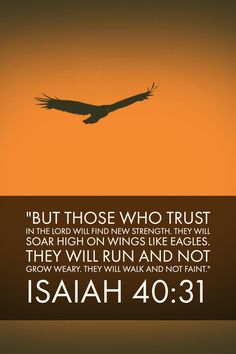 an eagle flying in the sky with a bible verse below it