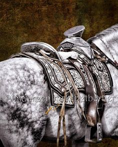 a white and black horse with saddles on it's back, standing in front of a brown background