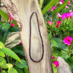 Our Koa Wood Bead Necklace featuring 6mm beads. The unique color and beautiful wood grain of Hawaiian Koa is recognized as one of the finest textured woods in the world. We have this beautiful necklace in lengths of 16, 18, or 20 inches. Has a clasp closure. Material: Koa Wood Bead Size: 6mm Clasp Closing Size: 16 Inches | 18 Inches | 20 Inches More about Woods of Hawaii: CLICK HERE Nature-inspired Brown Beaded Necklace, Brown Wooden Beads Necklace For Meditation, Nature-inspired Beaded Necklace With Wooden Beads, Nature-inspired Wooden Beaded Necklace, Wooden Round Beads Necklace As Gift, Wooden Round Beads Necklaces As Gifts, Wooden Round Bead Necklaces For Gifts, Wooden Round Bead Necklaces As Gift, Brown Single Strand Necklace