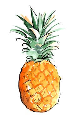 a drawing of a pineapple on a white background