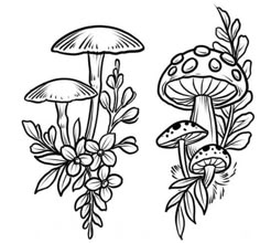 two mushrooms and flowers are shown in this black and white drawing by artist mark taylor