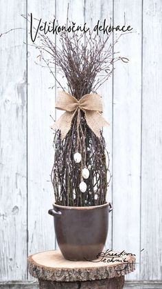 a potted plant sitting on top of a tree stump