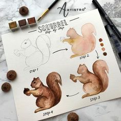 the squirrels are shown in different stages of their life cycle and how to draw them