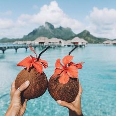 two coconuts with flowers on them are held up in front of the ocean and mountains