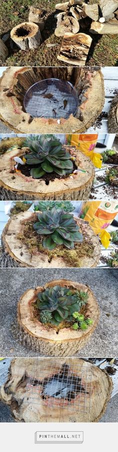 three different views of an outdoor planter with succulents growing out of it