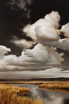 an oil painting of clouds over a body of water with grass in the foreground