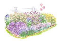 a drawing of a garden with flowers and fence