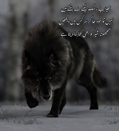 a black wolf running in the snow with an arabic quote on it's side