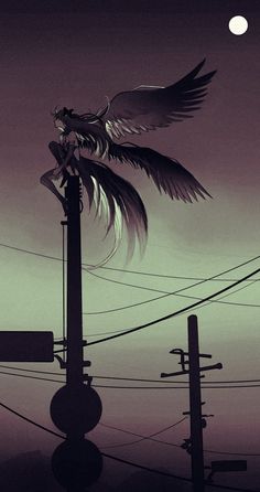 an image of a bird that is flying in the air over power lines and telephone poles