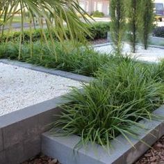 some very pretty plants in a big concrete planter