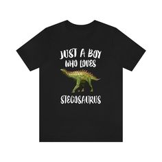 I see you are checking out this dinosaur t-shirt. If you're looking for a gift for a dinosaur lover or a treat for yourself then you've come to the right place. Are you asking yourself what should I get my dinosaur lover for his birthday or special occasion? These awesome t-shirts are explicitly designed for people who love dinosaurs and paleontology. These awesome designs are a perfect way for dinosaur lovers to show their passion and love for these creatures and start conversations. Make your dino lover happy and ORDER NOW this excellent dinosaur gift! Soft cotton and quality print make users fall in love with it over and over again. These t-shirts have-ribbed knit collars to bolster shaping. The shoulders have taping for better fit over time. Dual side seams hold the garment's shape for Dinosaur Shirt, Dinosaur Gifts, Awesome Designs, A Dinosaur, Toddler Sizes, Boys Shirts, Boys Who, A Boy, Cute Shirts