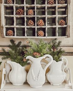 three white vases sitting on top of a shelf with pine cones in the background