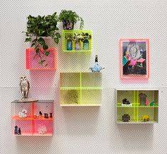 three colorful shelves with plants and pictures on the wall behind them in an art gallery