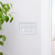 a white light switch sitting next to a green plant