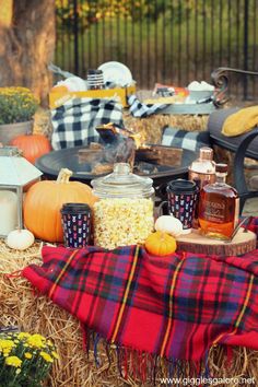 an outdoor picnic with pumpkins, corn and honey