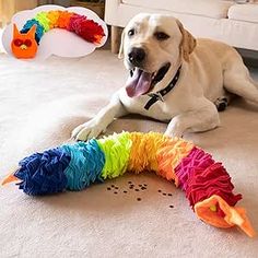 a dog laying on the floor next to a rainbow colored wormel toy with its tongue out