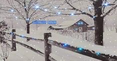 a snowy scene with blue lights on the fence and trees in the foreground,