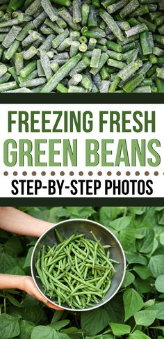 fresh green beans in a metal bowl with the words freezing fresh green beans step - by - step photos