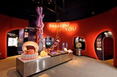 an exhibit with fake teeth and other items on display