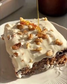 a white plate topped with a piece of cake covered in frosting and walnuts