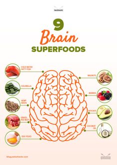 The Best Brain Food to Sharpen Your Memory & Focus | PaleoHacks Blog Makanan Rendah Kalori, Resep Diet, Coconut Health Benefits, Super Foods, Healthy Brain, Brain Food, Idee Pasto Sano, Brain Power