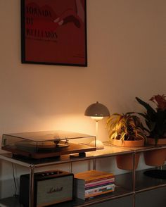 a record player sitting on top of a shelf next to a lamp and potted plant