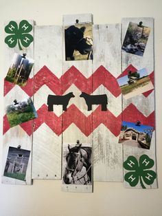 a collage of pictures on wood with shamrocks and horses in the middle is shown