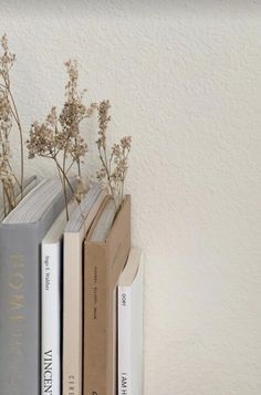 three books are stacked on top of each other in front of a wall mounted shelf