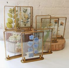 four frames with pressed flowers in them on a white table next to a brick wall