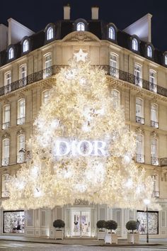 a large christmas tree is lit up in front of a building with windows and balconies