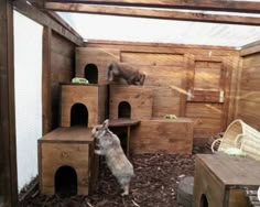 a cat house with two cats in it and one on top of the other side