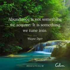 there is a waterfall in the woods with a quote on it that says abundance is not something we require