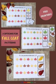 three pictures of fall leaf patterns with the text, 3 options for fall leaf patterns