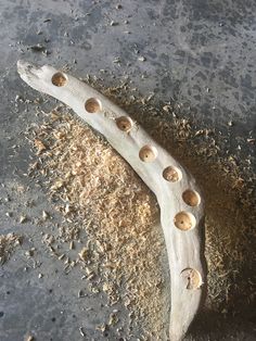 a piece of driftwood with holes in it sitting on the ground next to some wood shavings