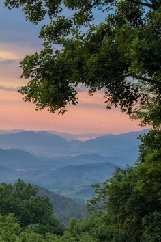 the sun is setting over the mountains in the distance, with trees on either side