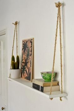 some books are sitting on a shelf with rope hanging from the top and two cacti