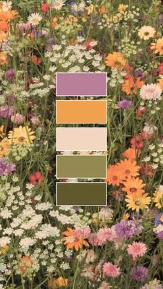 a field full of different colored flowers with the same color scheme in each section,