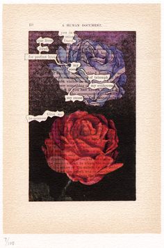 an image of two roses with words on them