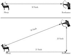 the diagram shows how sheep can be used to measure their height and speed, as well as distance