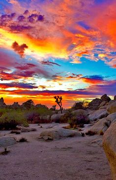 the sun is setting over some rocks and trees in the desert with colorful clouds above