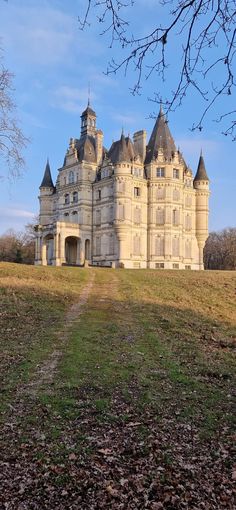 an old castle sitting on top of a grass covered hill next to a tree filled field