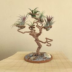 a small bonsai tree with plants growing out of it's branches on top of a wooden table