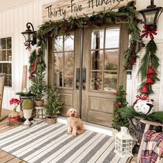 a dog sitting in front of a door with christmas decorations on the outside and inside