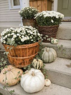 white pumpkins and gourds are sitting on the steps