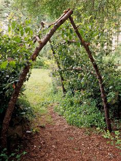 an arch made out of branches in the middle of a garden with grass and trees